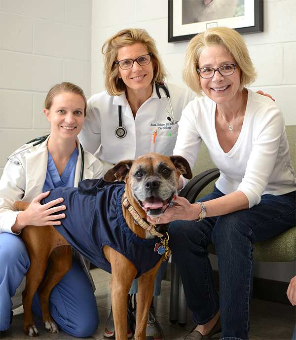 Illustration of a dog